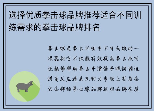 选择优质拳击球品牌推荐适合不同训练需求的拳击球品牌排名